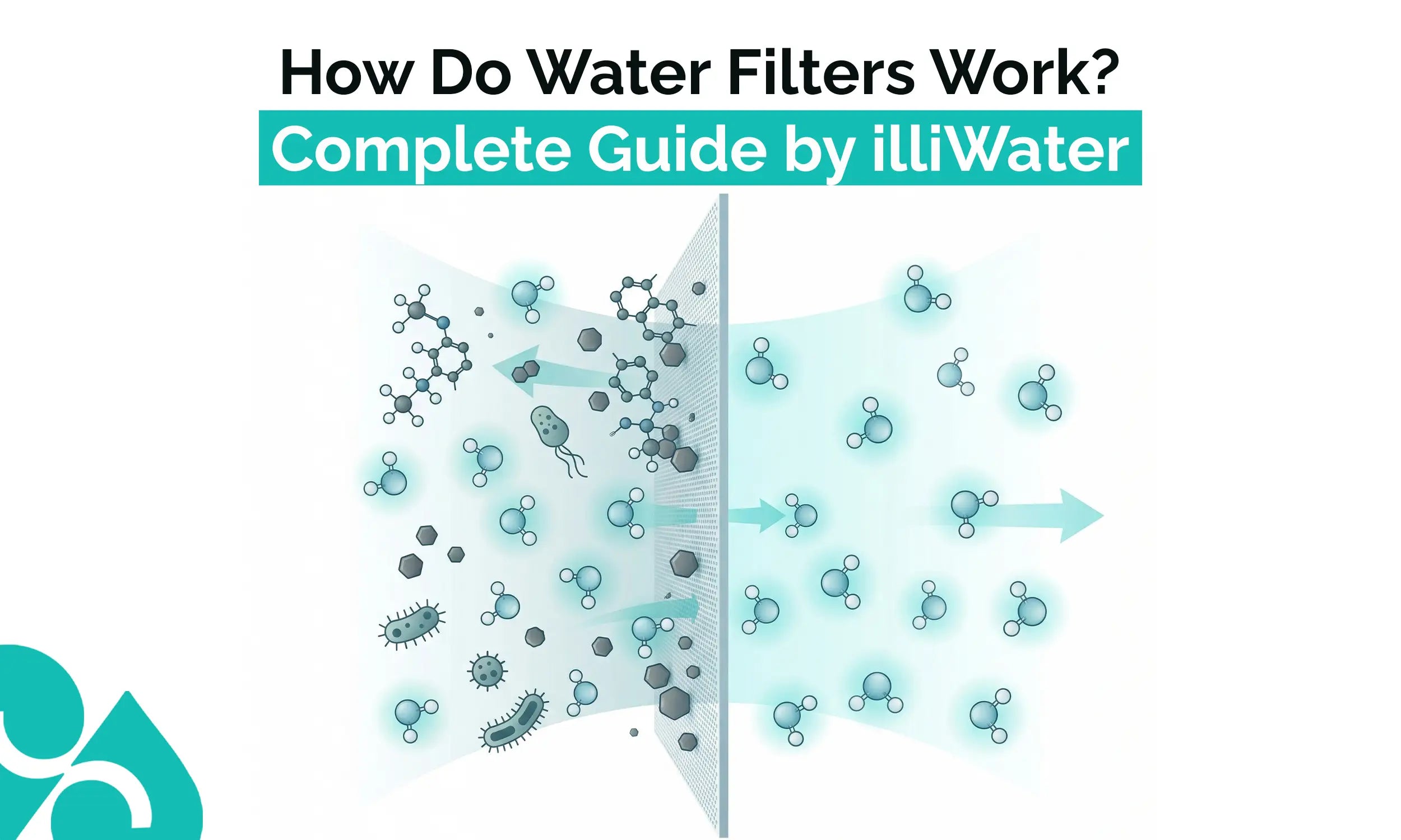 How Do Water Filters Work