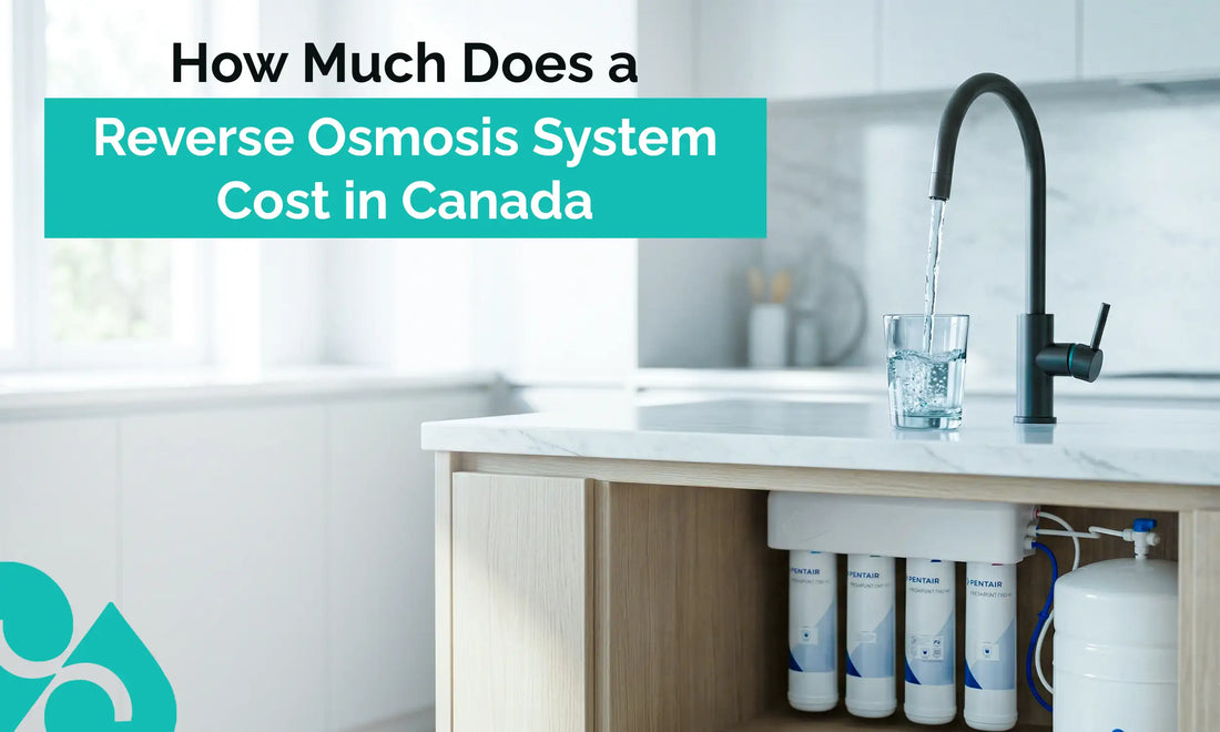 How much does a reverse osmosis system cost