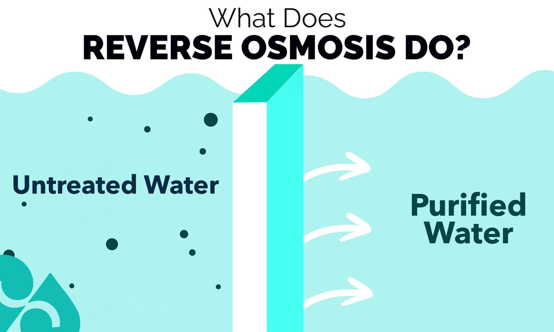 What Does Reverse Osmosis Do?