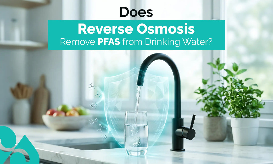 does reverse osmosis remove pfas
