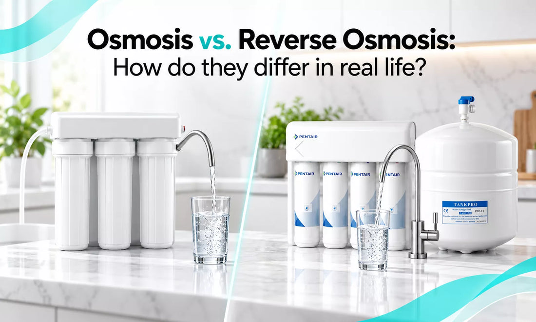 Osmosis vs. Reverse Osmosis: How do they differ in real life?